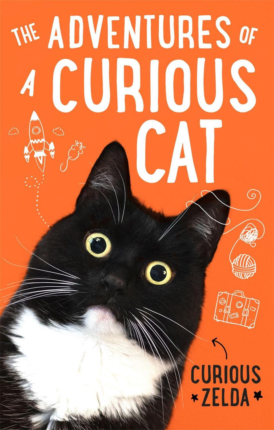 Cover: 9780751581195 | The Adventures of a Curious Cat | Curious Zelda | Taschenbuch | 2020