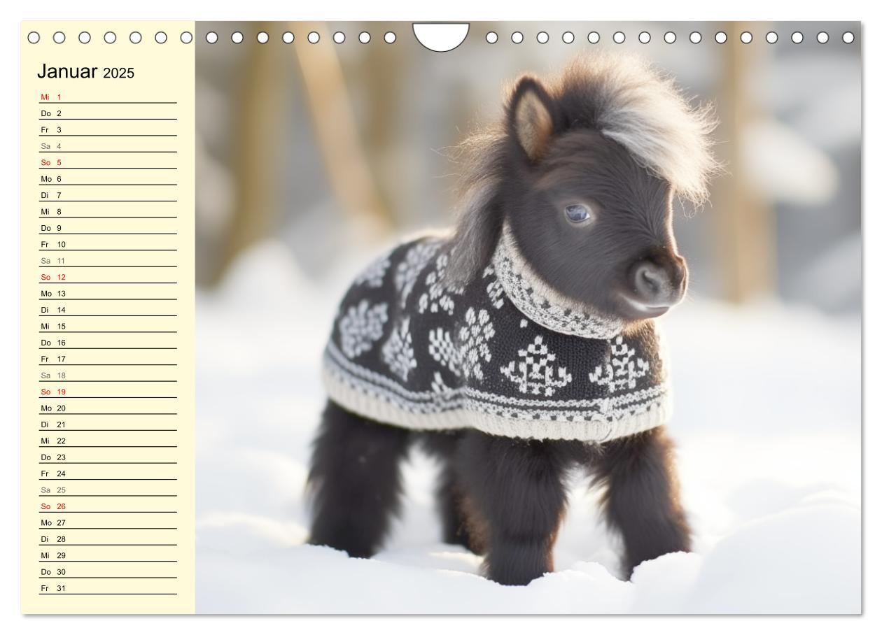 Bild: 9783435011605 | Kleine Pferde. Mini-Ponys zum verlieben (Wandkalender 2025 DIN A4...