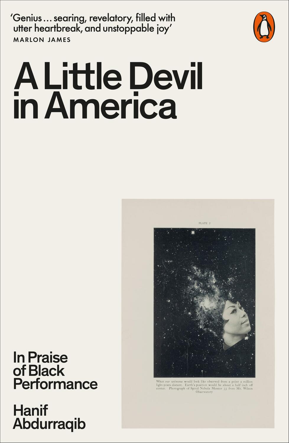 Cover: 9780141995793 | A Little Devil in America | In Praise of Black Performance | Buch
