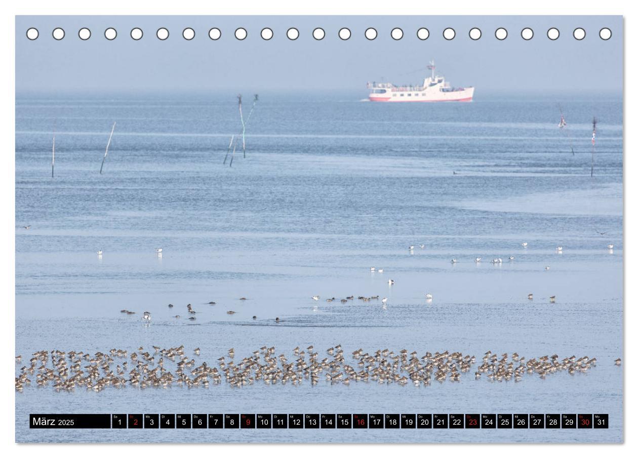 Bild: 9783435109395 | Welterbe Wattenmeer (Tischkalender 2025 DIN A5 quer), CALVENDO...