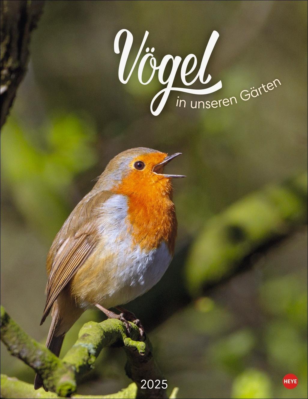 Cover: 9783756405336 | Vögel in unseren Gärten Posterkalender 2025 | Heye | Kalender | 14 S.