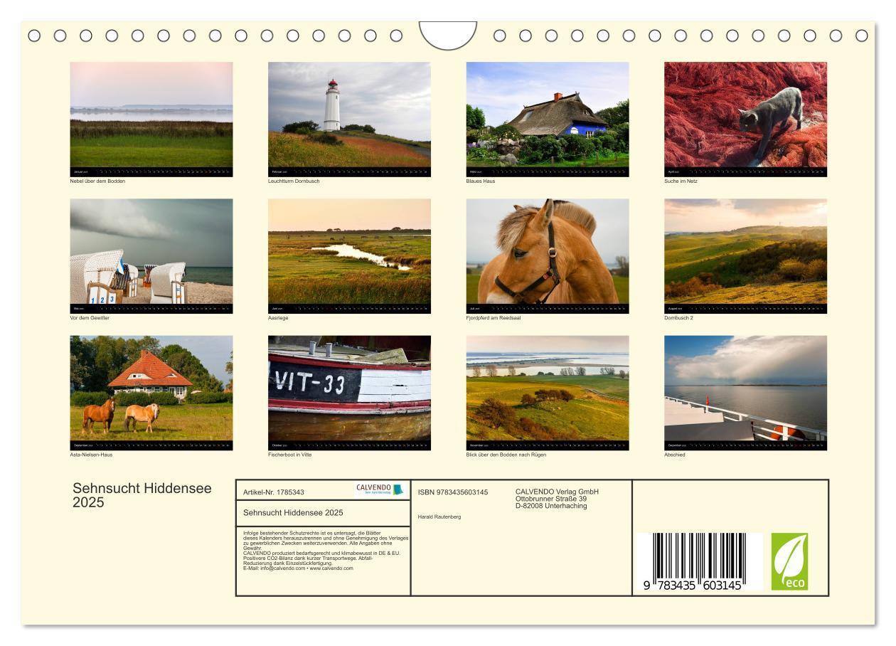 Bild: 9783435603145 | Sehnsucht Hiddensee 2025 (Wandkalender 2025 DIN A4 quer), CALVENDO...