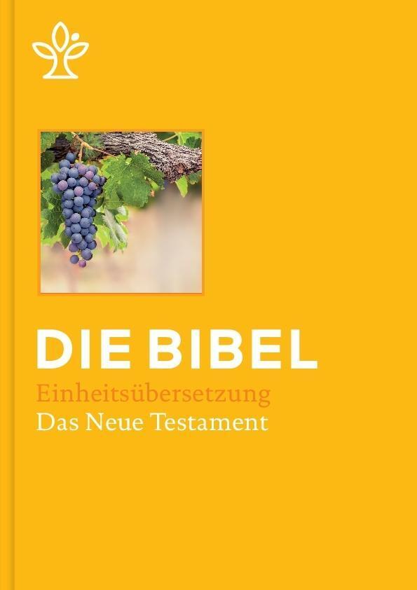 Bild: 9783920609553 | Bibel in 5 Einzelbüchern in Geschenkkassette, Großdruck | Buch | 2017