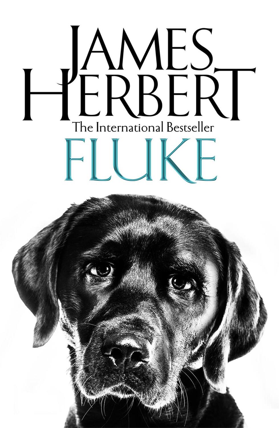Cover: 9781509865475 | Fluke | James Herbert | Taschenbuch | Macmillan Collector's Library