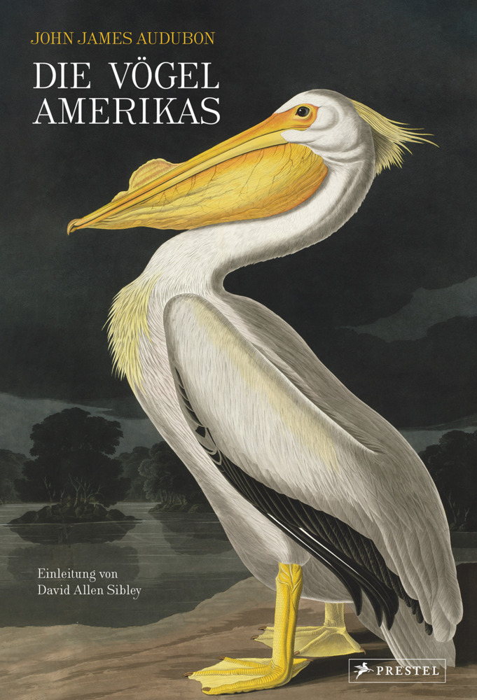 Cover: 9783791379135 | Die Vögel Amerikas | John James Audubon (u. a.) | Buch | 448 S. | 2021