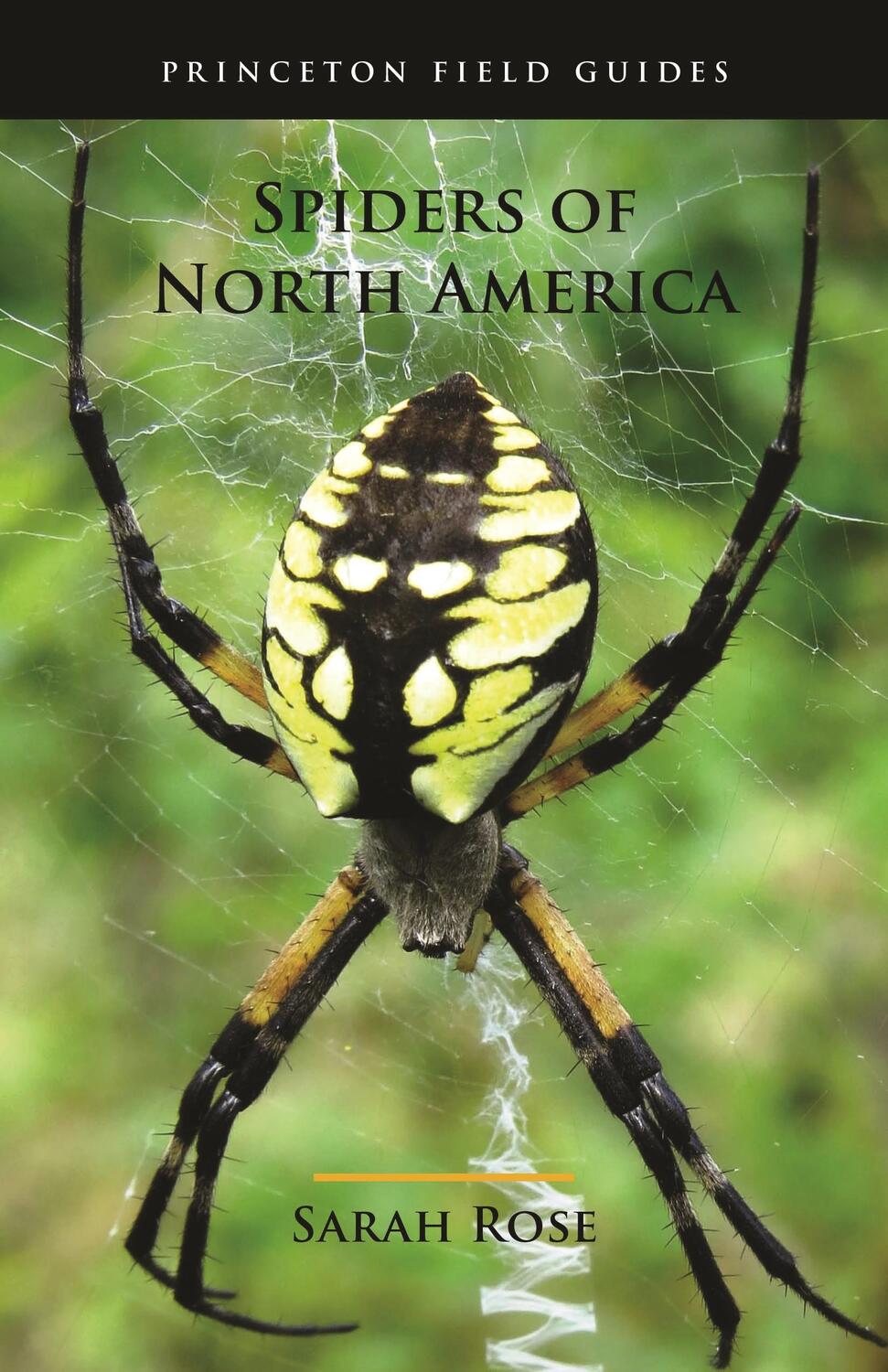 Cover: 9780691175614 | Spiders of North America | Sarah Rose | Taschenbuch | Englisch | 2022