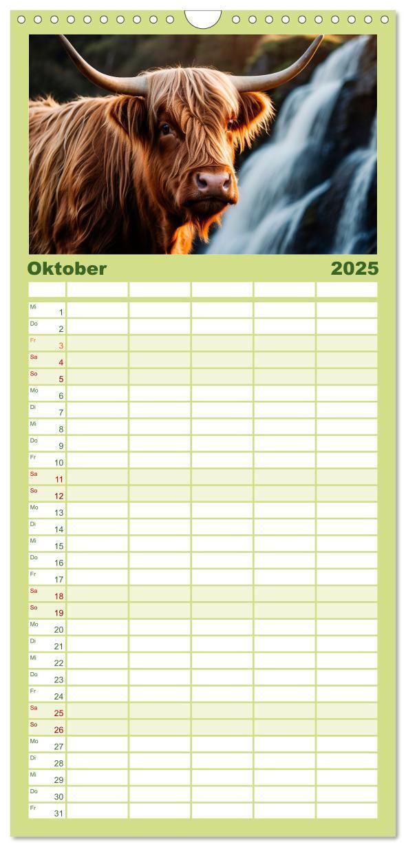 Bild: 9783457135563 | Familienplaner 2025 - Highland Kühe mit 5 Spalten (Wandkalender, 21...