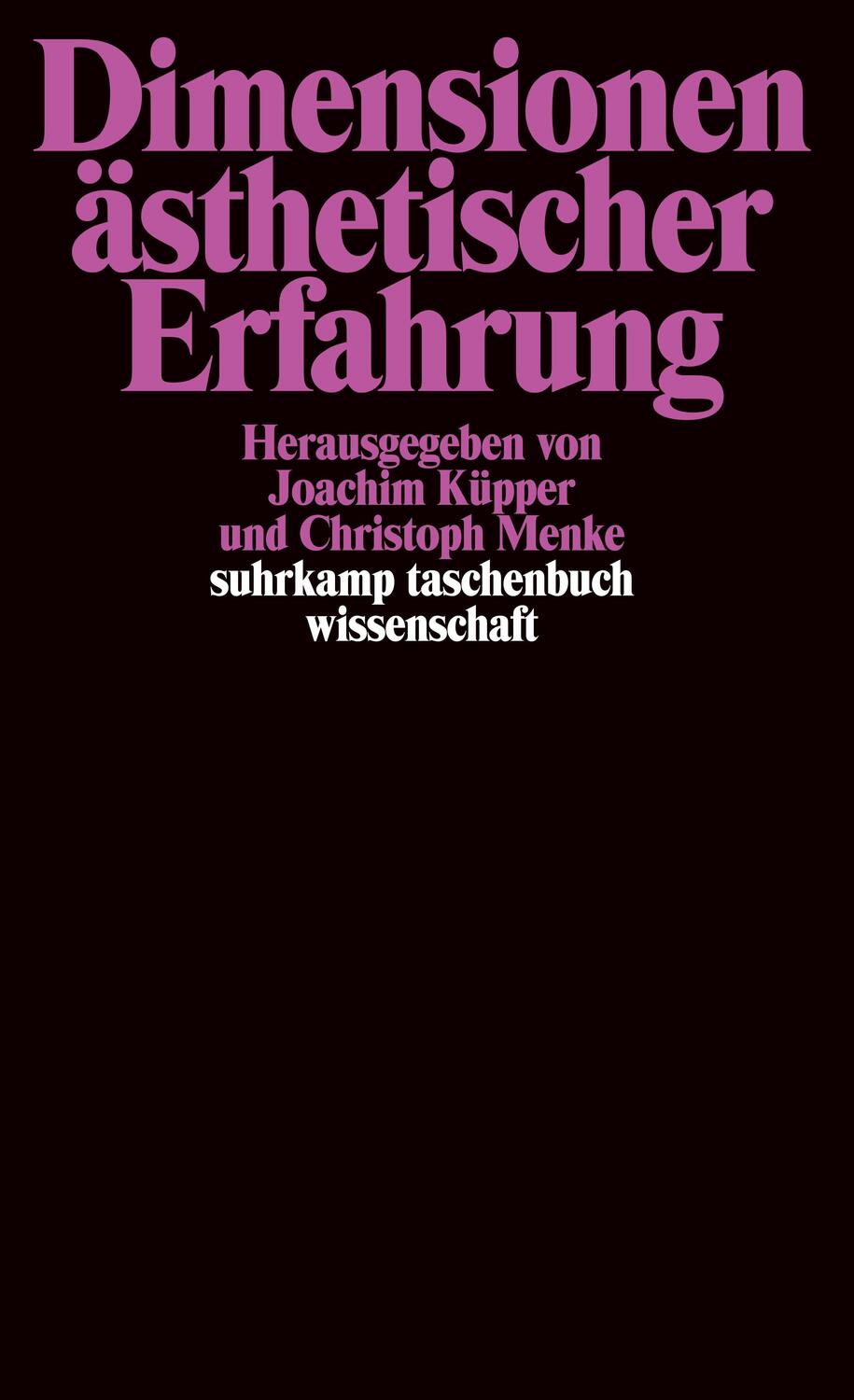 Cover: 9783518292402 | Dimensionen ästhetischer Erfahrung | Joachim Küpper (u. a.) | Buch