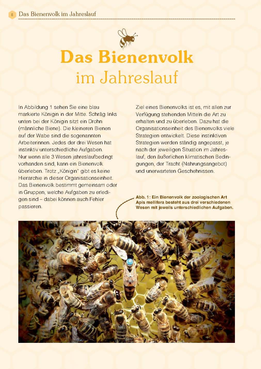 Bild: 9783955877989 | Mit Bienen die Welt retten | Andreas Heidinger | Taschenbuch | 160 S.