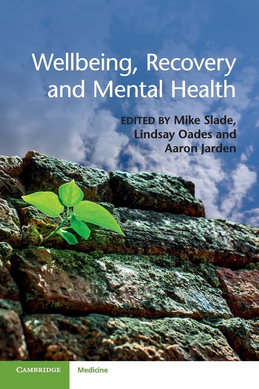 Cover: 9781107543058 | Wellbeing, Recovery and Mental Health | Mike Slade | Taschenbuch