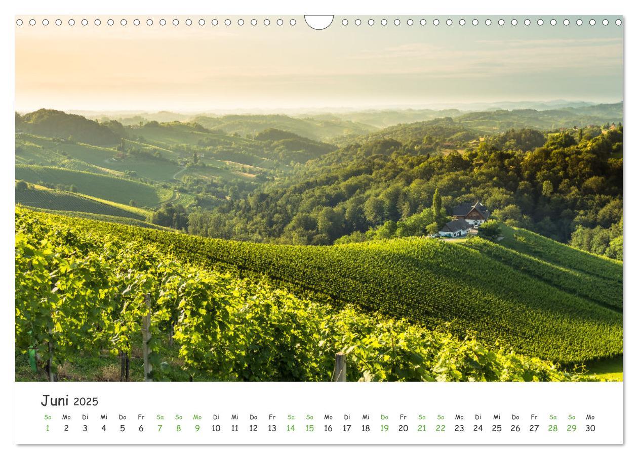 Bild: 9783435041954 | Südsteiermark365 (Wandkalender 2025 DIN A3 quer), CALVENDO...