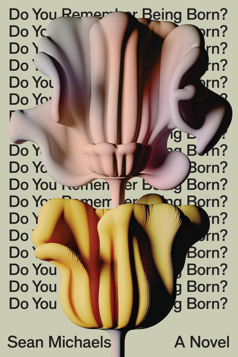 Cover: 9781662602320 | Do You Remember Being Born? | Sean Michaels | Buch | Englisch | 2023