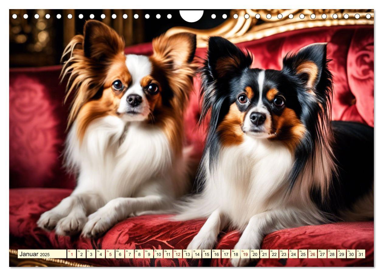 Bild: 9783457124581 | Papillon - bringt jedes Herz zum Schmelzen (Wandkalender 2025 DIN...