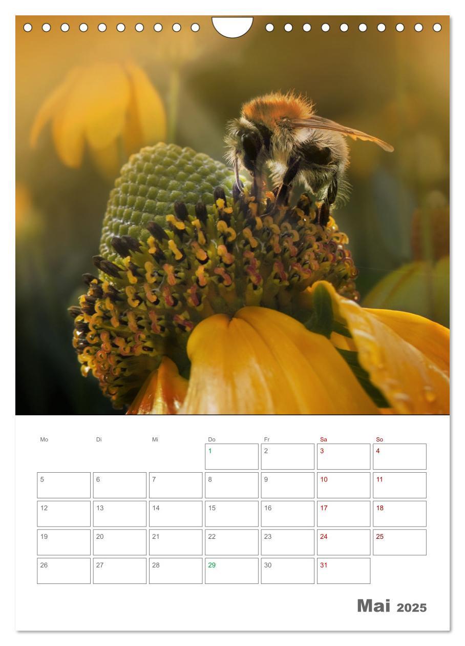 Bild: 9783435917648 | Helden in der Natur (Wandkalender 2025 DIN A4 hoch), CALVENDO...