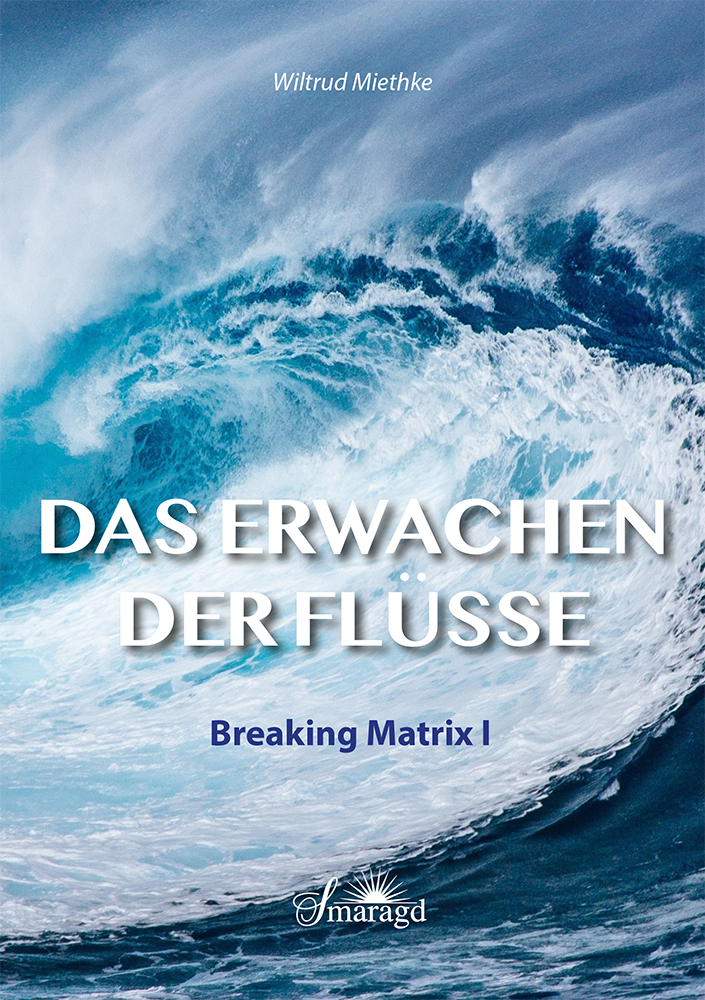 Cover: 9783907457009 | Das Erwachen der Flüsse | Breaking Matrix I | Wiltrud Miethke | Buch