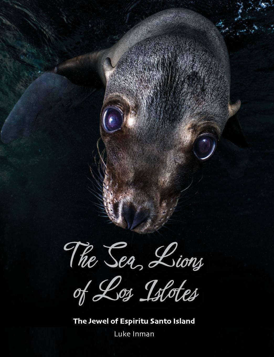 Cover: 9781909455498 | The Sea Lions of Los Islotes | The Jewel of Espíritu Santo Island