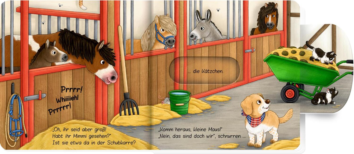 Bild: 9783649645528 | Komm heraus, kleine Maus!: Bist du auf dem Bauernhof? | Buch | Deutsch