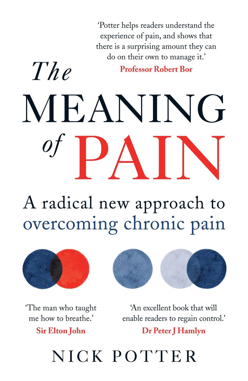 Cover: 9781780724171 | The Meaning of Pain | Nick Potter | Taschenbuch | Englisch | 2020