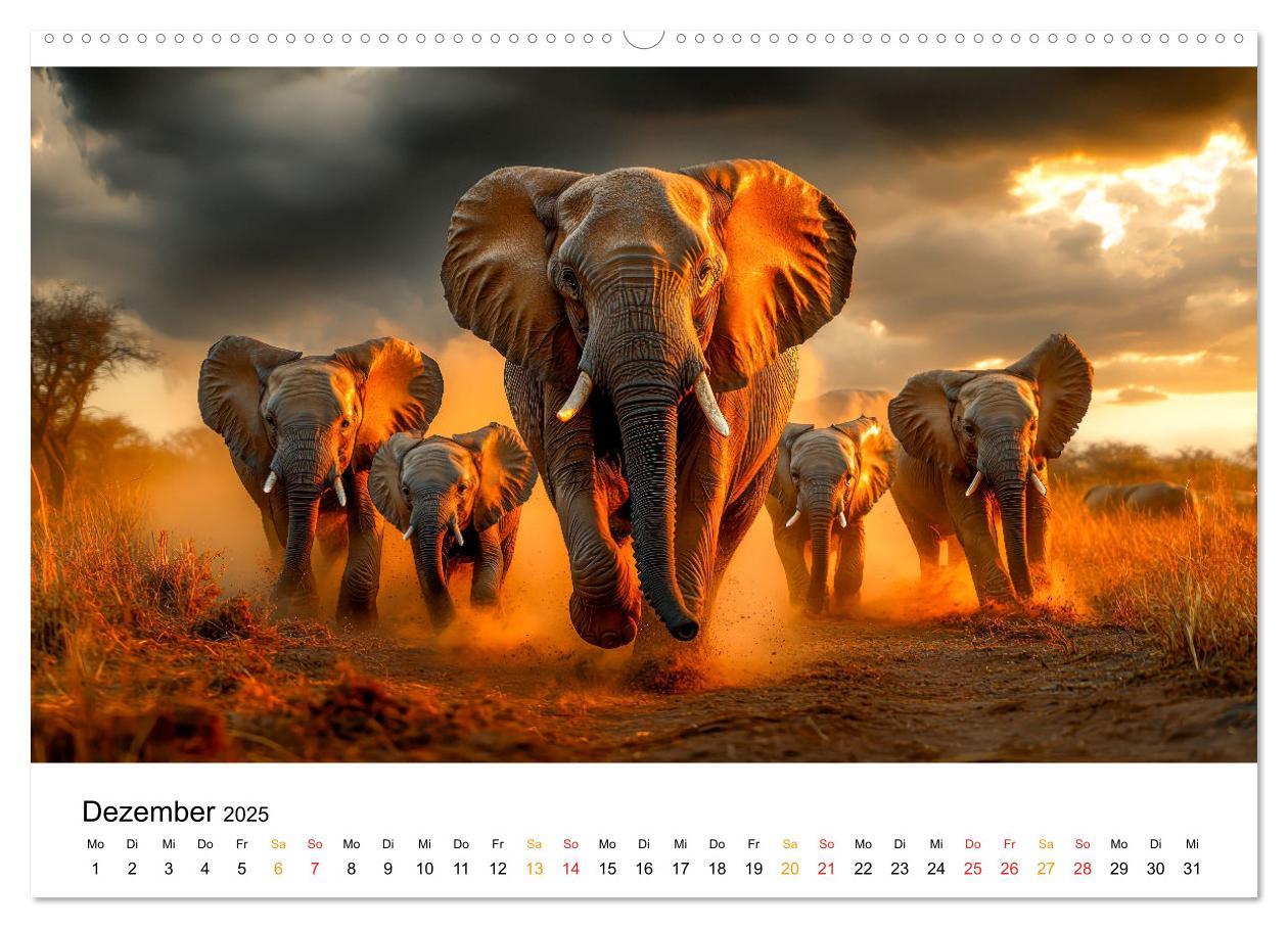 Bild: 9783457240496 | Elefanten - Riesen der Wildnis (Wandkalender 2025 DIN A2 quer),...