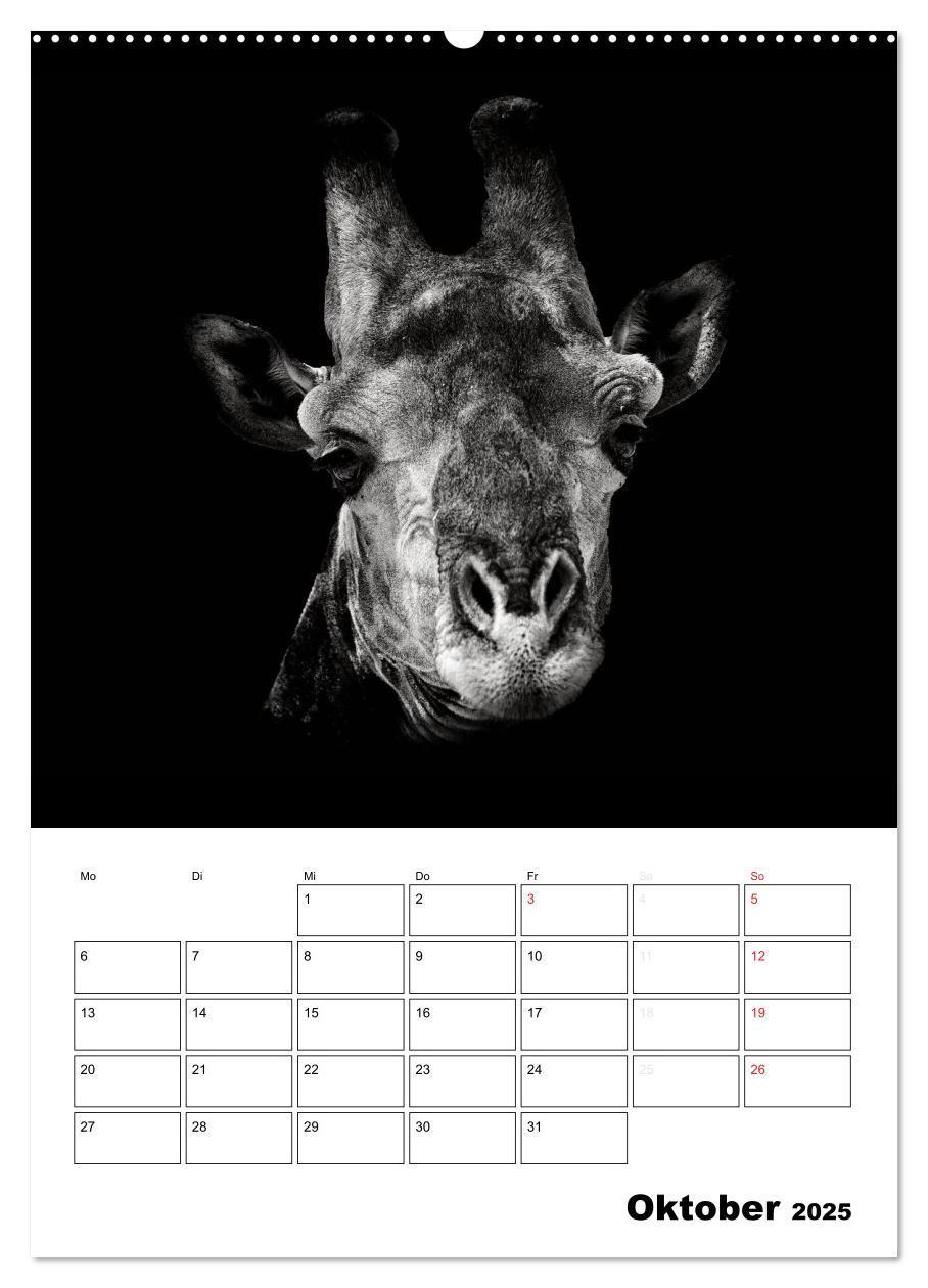 Bild: 9783457012840 | Charakterköpfe aus der Welt der Tiere (Wandkalender 2025 DIN A2...