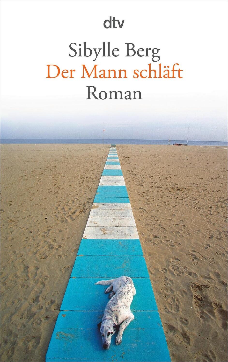 Cover: 9783423140027 | Der Mann schläft | Sibylle Berg | Taschenbuch | Deutsch | 2011
