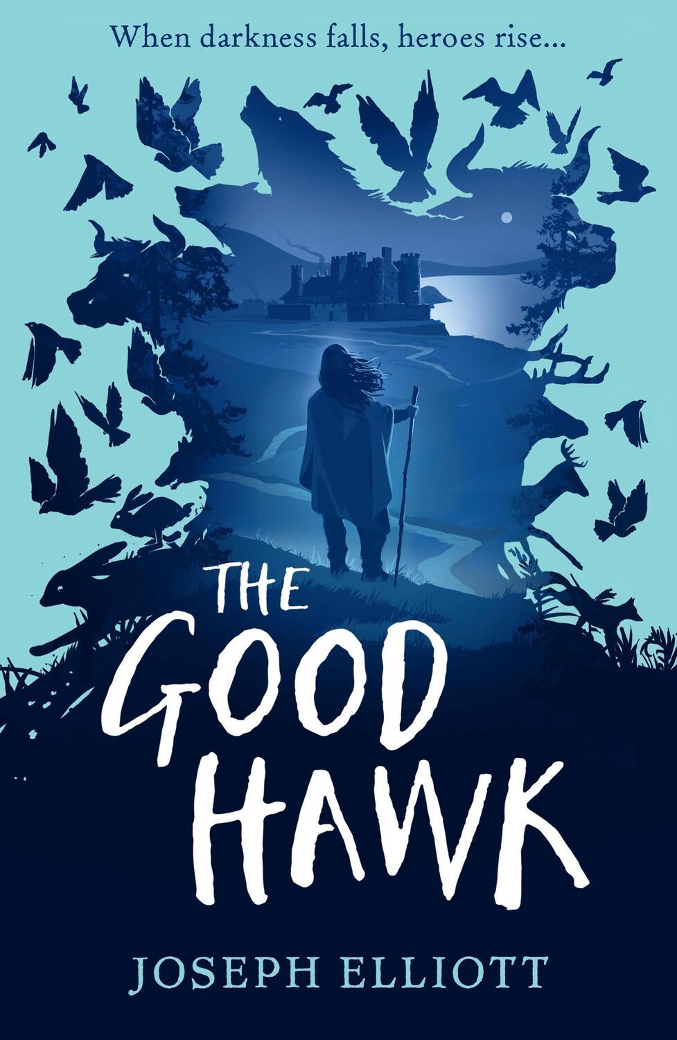 Cover: 9781406385854 | The Good Hawk (Shadow Skye, Book One) | Joseph Elliott | Taschenbuch