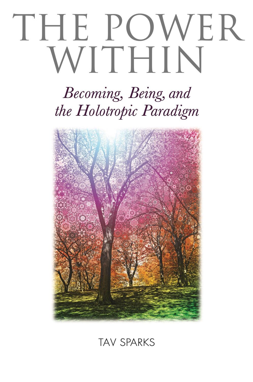 Cover: 9781913274153 | The Power Within | Becoming, Being, and the Holotropic Paradigm | Buch