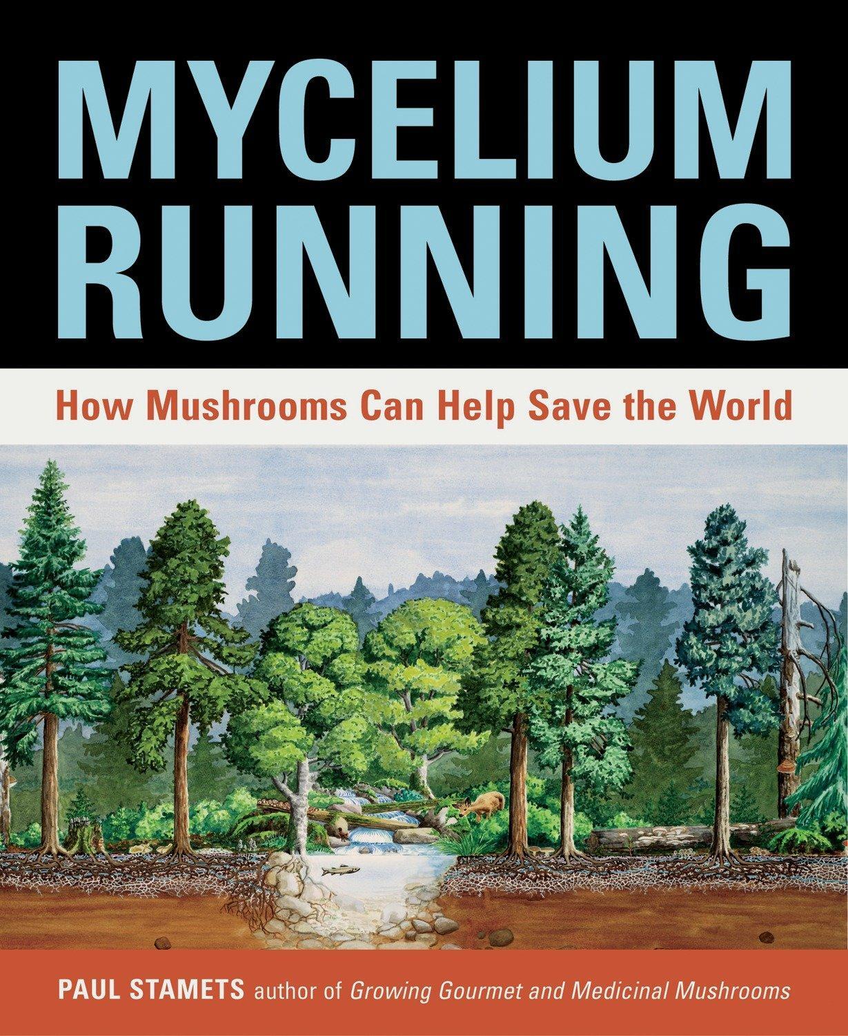 Cover: 9781580085793 | Mycelium Running: How Mushrooms Can Help Save the World | Paul Stamets
