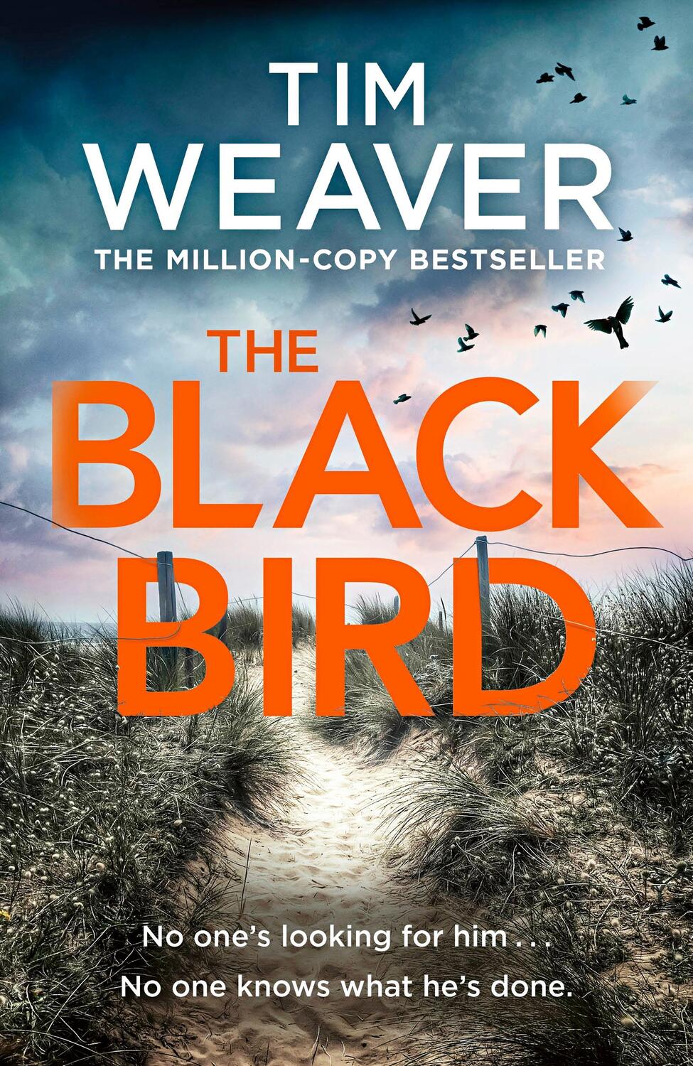 Cover: 9780241418727 | The Blackbird | Tim Weaver | Taschenbuch | Englisch | 2022