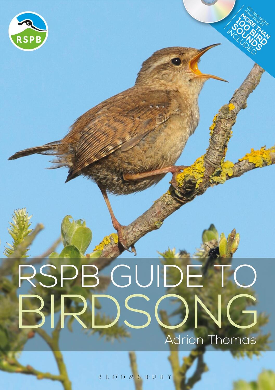 Cover: 9781472955876 | RSPB Guide to Birdsong | Adrian Thomas | Taschenbuch | RSPB | Englisch