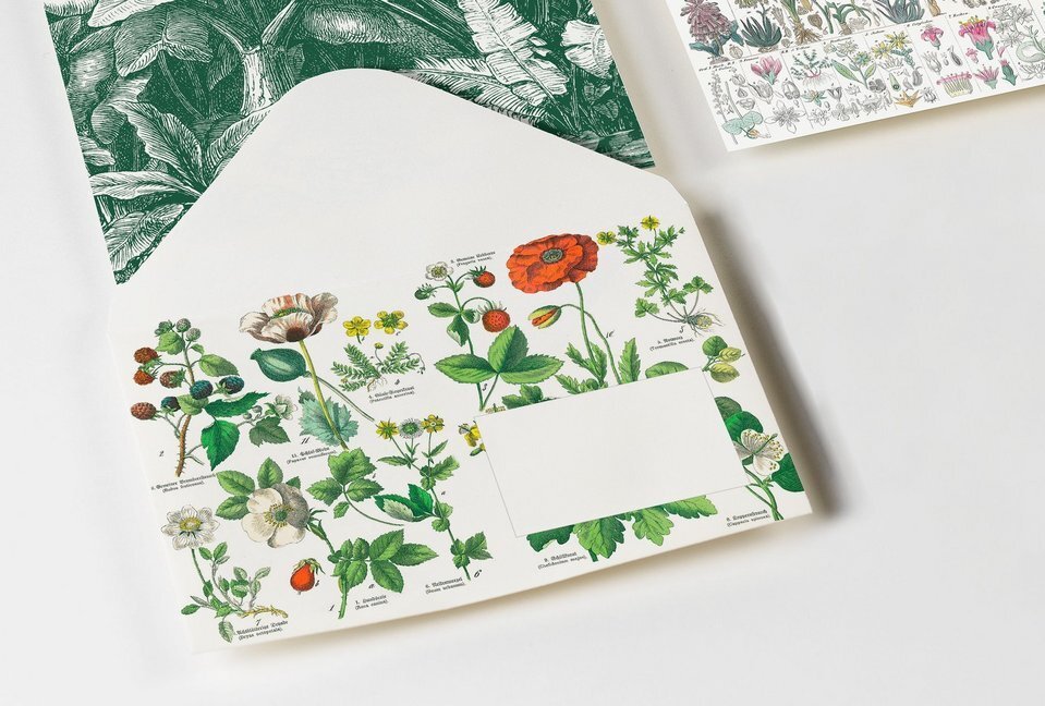 Cover: 9789460093661 | Botanical, 20 Umschläge | Envelopes (C6) | Pepin van Roojen | Stück