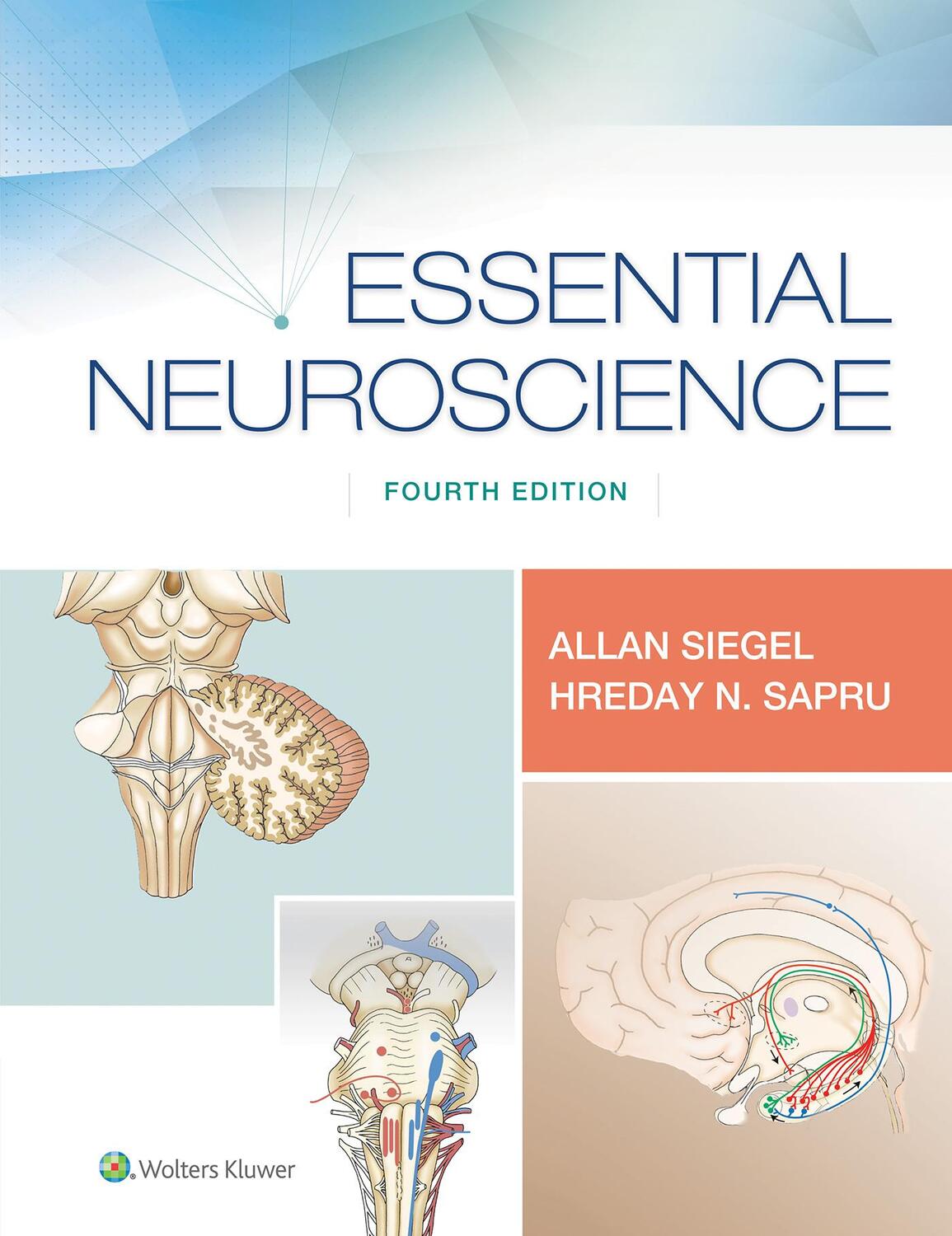 Cover: 9781496382405 | Essential Neuroscience | Dr. Allan, Ph.D. Siegel (u. a.) | Taschenbuch