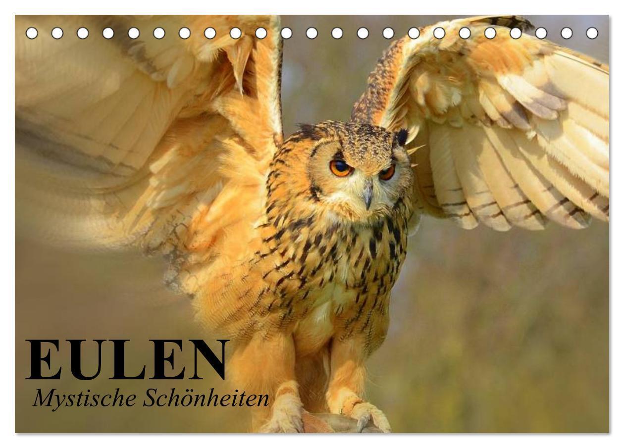 Cover: 9783383517075 | Eulen. Mystische Schönheiten (Tischkalender 2024 DIN A5 quer),...