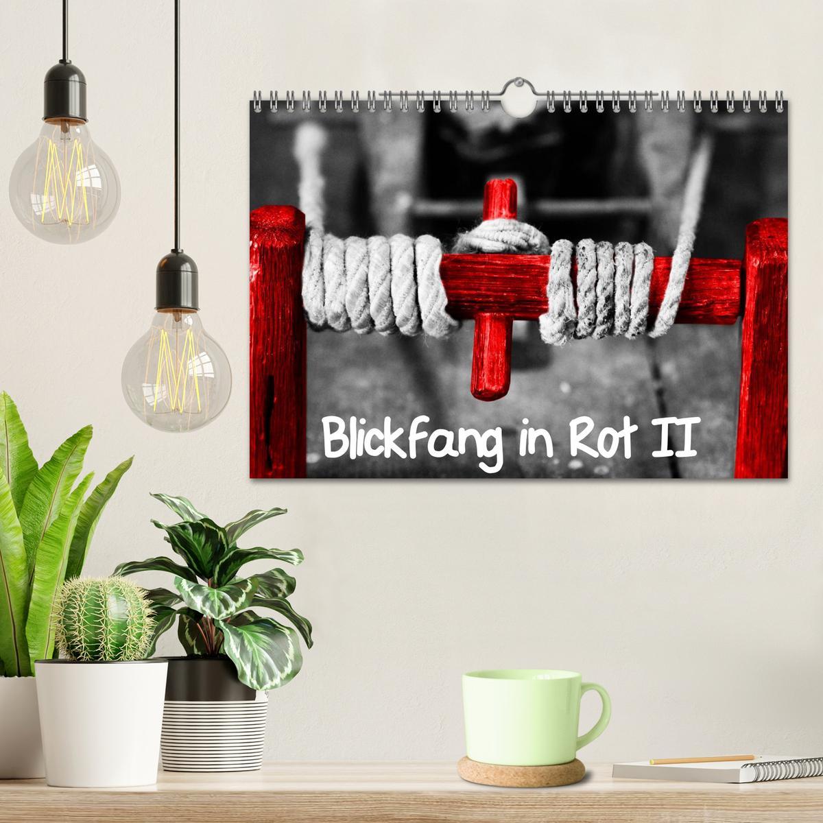 Bild: 9783435704866 | Blickfang in Rot (Wandkalender 2025 DIN A4 quer), CALVENDO...