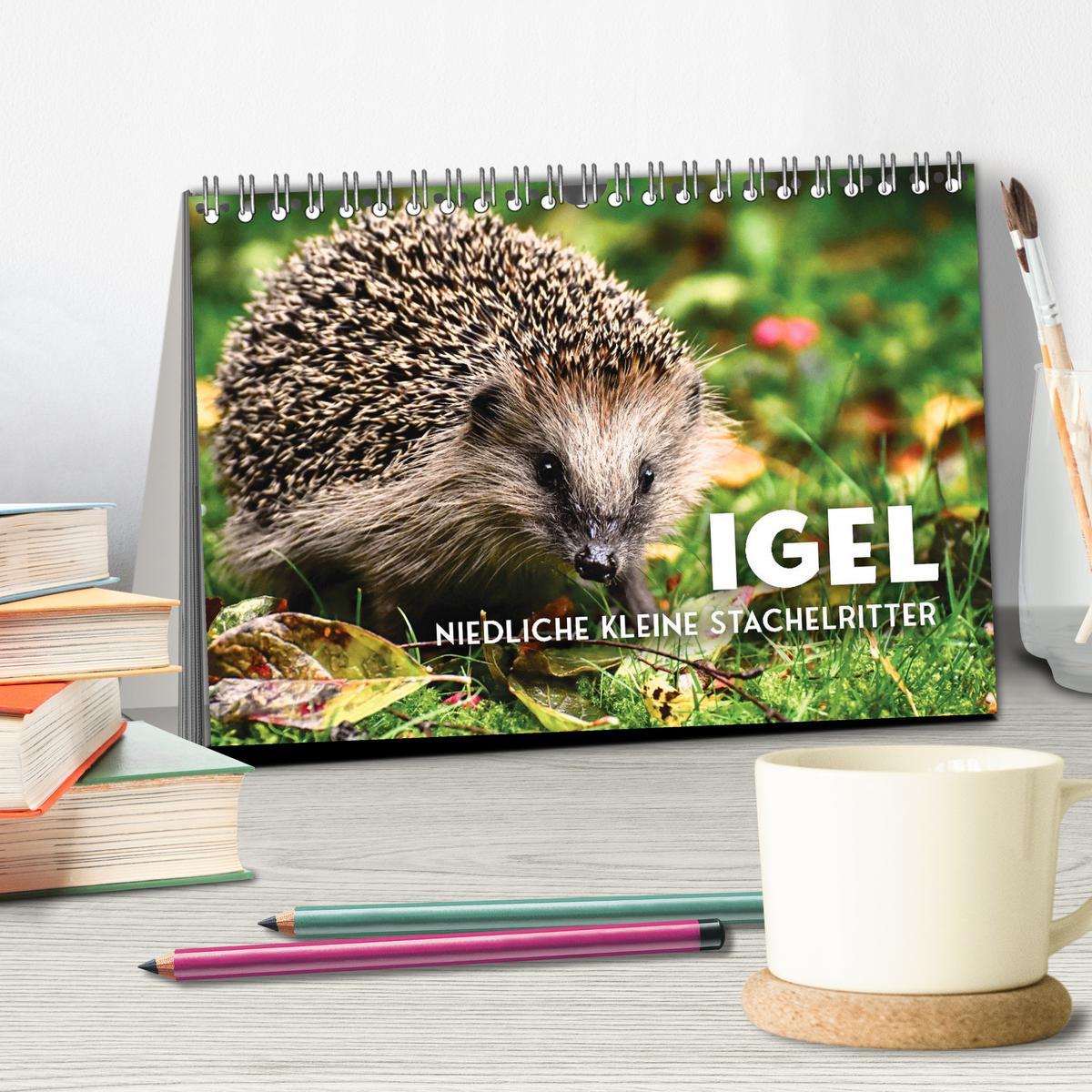 Bild: 9783383940613 | Igel - Niedliche kleine Stachelritter (Tischkalender 2025 DIN A5...