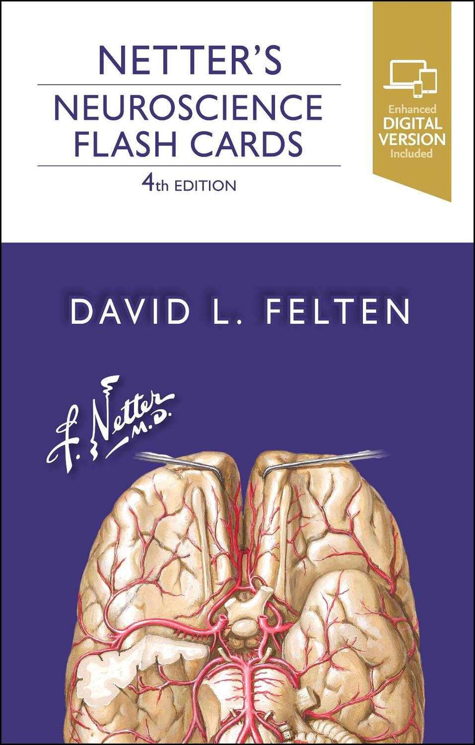 Cover: 9780323756433 | Netter's Neuroscience Flash Cards | David L. Felten | Buch | Gebunden