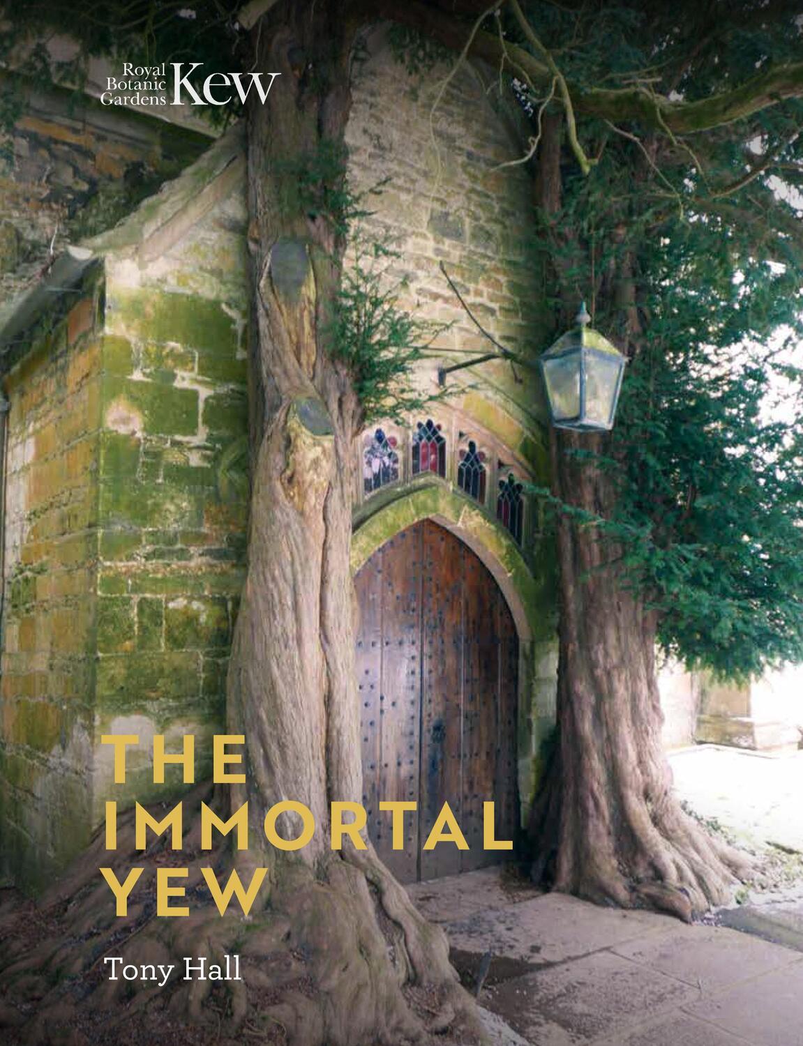 Cover: 9781842466582 | The Immortal Yew | Tony Hall | Buch | Englisch | 2019