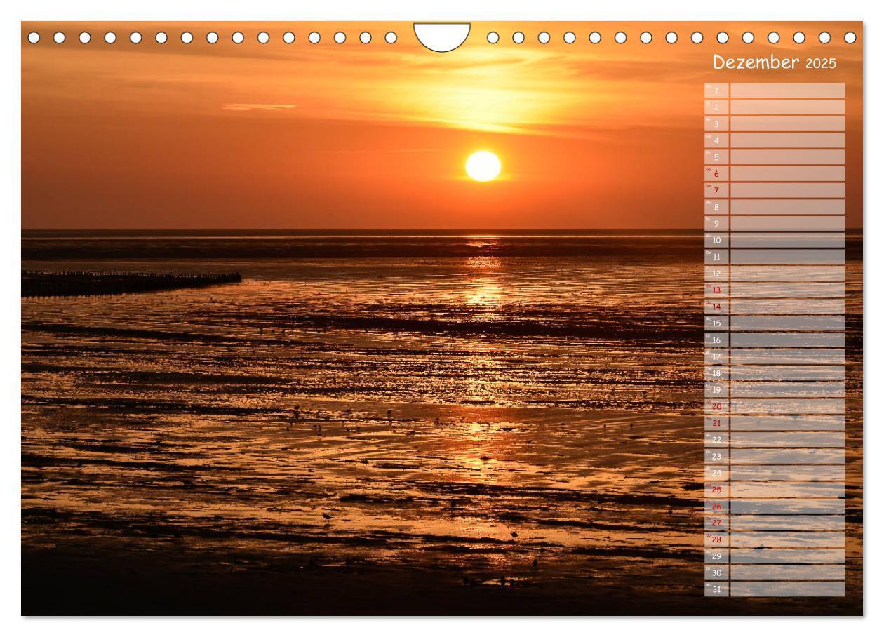 Bild: 9783435359097 | Ein Sommer auf Texel (Wandkalender 2025 DIN A4 quer), CALVENDO...