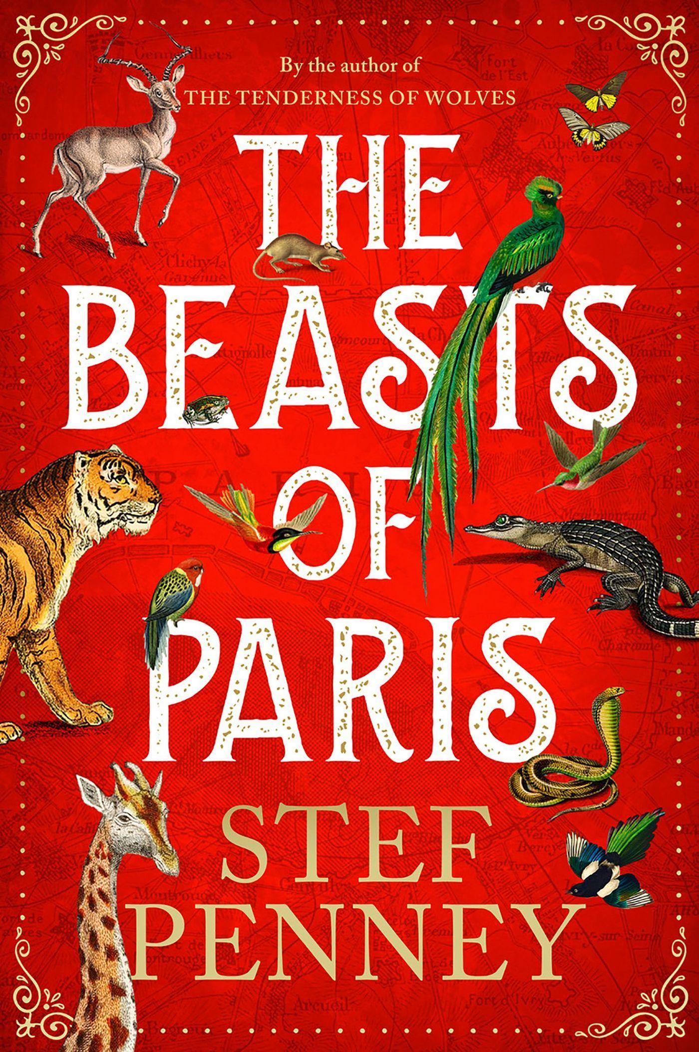 Cover: 9781529421569 | The Beasts of Paris | Stef Penney | Taschenbuch | Englisch | 2023