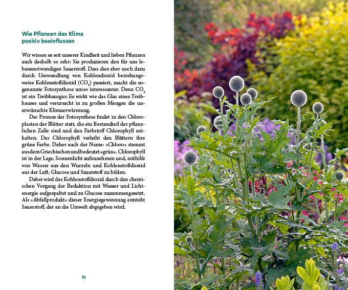 Bild: 9783710403118 | Gärtnern im Wandel | Wie der Garten klimafest wird | Veronika Schubert