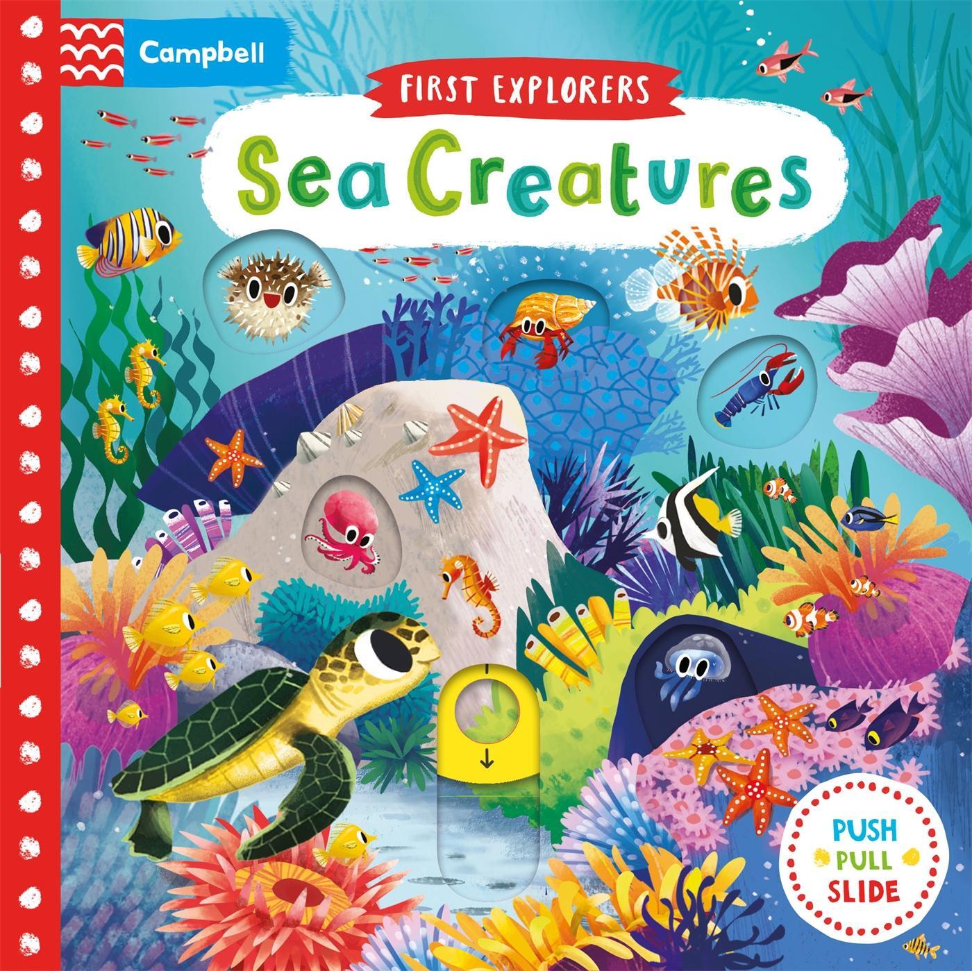 Cover: 9781509832613 | Sea Creatures | Buch | Campbell First Explorers | Englisch | 2016