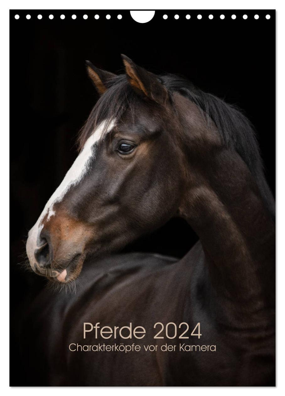 Cover: 9783675564107 | Pferde 2024 - Charakterköpfe vor der Kamera (Wandkalender 2024 DIN...