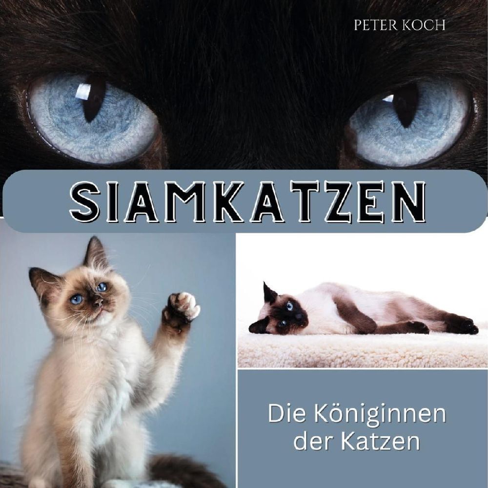 Cover: 9783750563704 | Siamkatzen | Die Königinnen der Katzen | Peter Koch | Taschenbuch