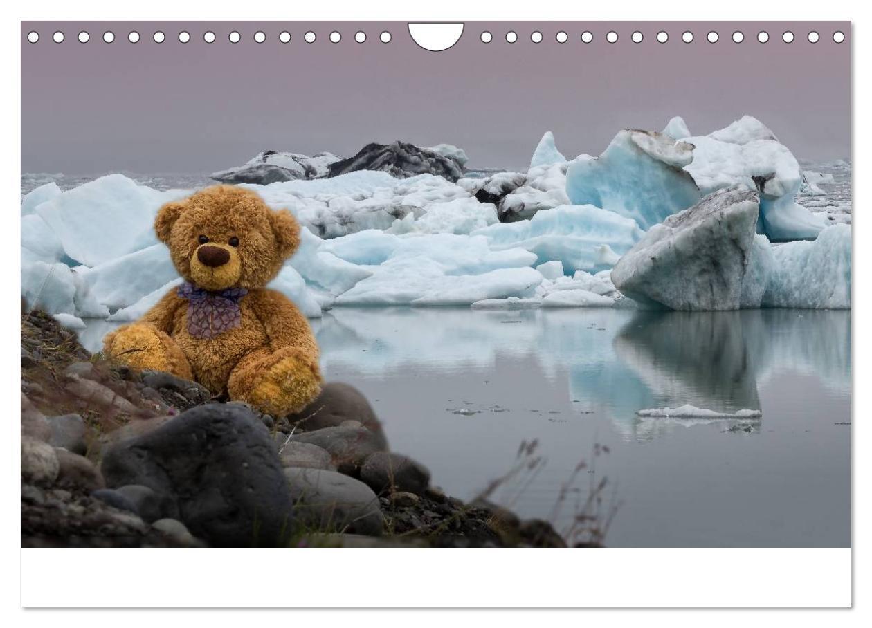 Bild: 9783435503414 | Travelling Teddy 2025 (Wandkalender 2025 DIN A4 quer), CALVENDO...