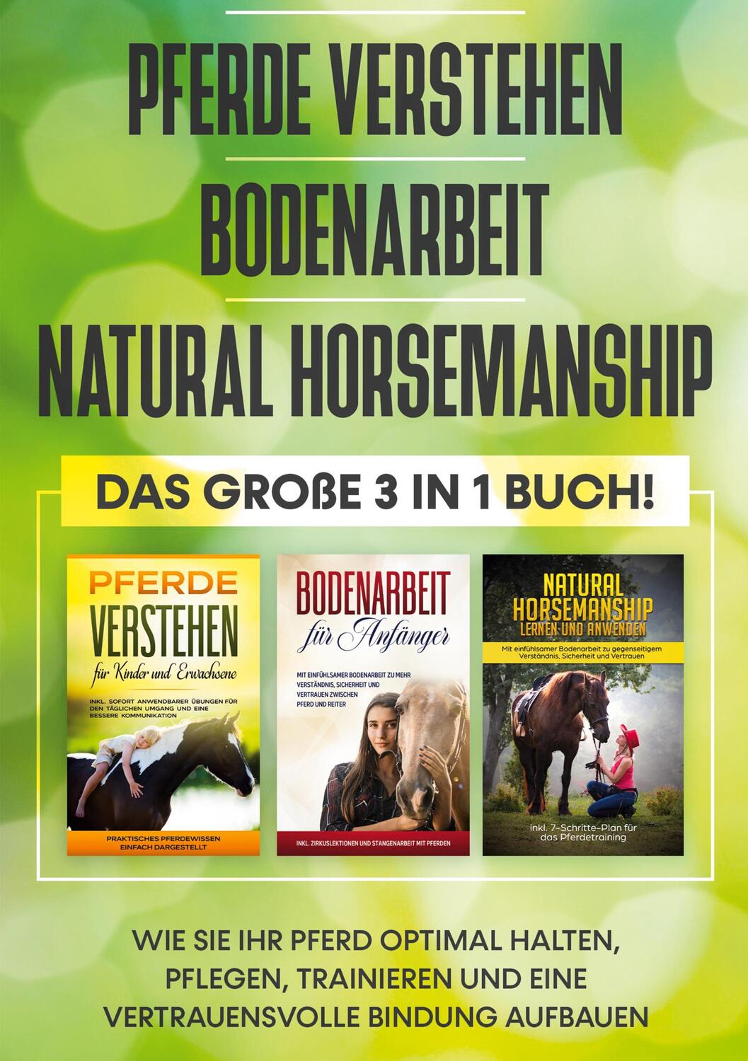 Cover: 9783754315774 | Pferde verstehen Bodenarbeit Natural Horsemanship - Das große 3 in...