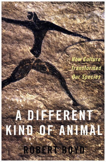 Cover: 9780691177731 | Different Kind of Animal | How Culture Transformed Our Species | Boyd