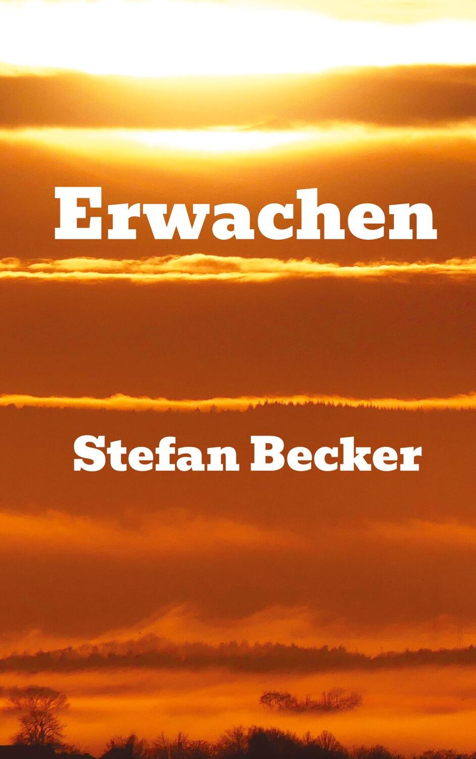 Cover: 9783347706163 | Erwachen | Stefan Becker | Buch | HC runder Rücken kaschiert | 340 S.