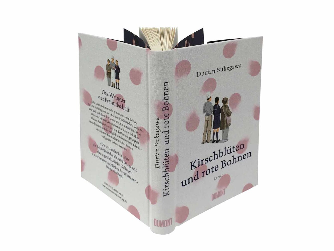 Bild: 9783832198121 | Kirschblüten und rote Bohnen | Roman | Durian Sukegawa | Buch | 224 S.
