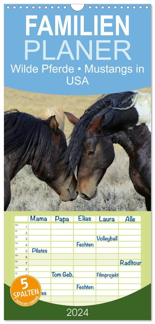 Cover: 9783383072406 | Familienplaner 2024 - Wilde Pferde ¿ Mustangs in USA mit 5 Spalten...