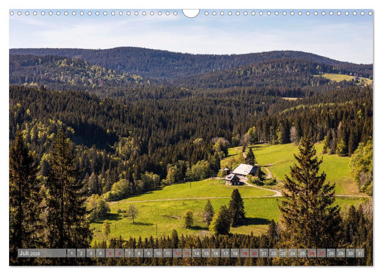 Bild: 9783435076758 | Ein Jahr im Schwarzwald (Wandkalender 2025 DIN A3 quer), CALVENDO...